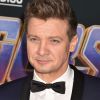 Jeremy Renner - Avant-première du film "Avengers : Endgame" à Los Angeles, le 22 avril 2019.