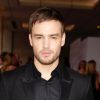 Liam Payne : Sa nouvelle copine Maya Henry, Cheryl Cole et son fils