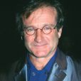 Archives - Robin Williams (Alan Parrish, dans "Jumanji") a été retrouvé mort chez lui à Tiburon au nord de San Francisco, le 11 août 2014.