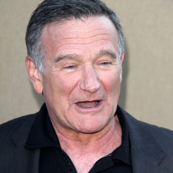 Robin Williams (Alan Parrish, dans "Jumanji") - Soirée "Summer TCA 2013" à Beverly Hills, le 29 juillet 2013.