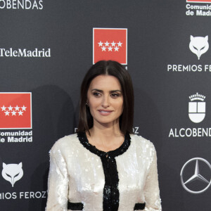 Penelope Cruz au photocall de la 7ème édition des "Feroz Cinema Awards" à Madrid, le 16 janvier 2020.