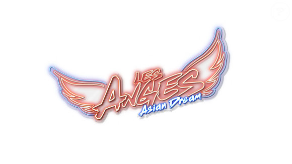 Photo officielle du casting des "Anges 12" - NRJ 12