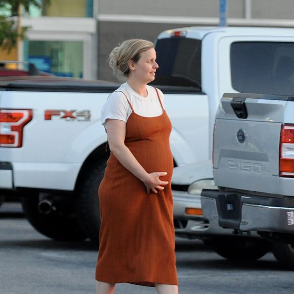 Exclusif - Elijah Wood et sa compagne Mette-Marie Kongsved, enceinte, sont allés faire du shopping chez "Best Buy", un magasin d'ameublement.