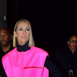 Céline Dion prend la pose pour les photographes après son show au Barclay's Center à New York, le 5 mars 2020.