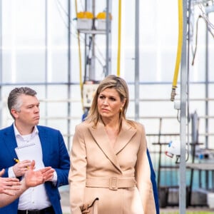 La reine Maxima des Pays-Bas en visite sur une exploitation horticole à Honselersdijk le 27 mars 2020, en pleine crise du coronavirus.