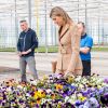 La reine Maxima des Pays-Bas en visite sur une exploitation horticole à Honselersdijk le 27 mars 2020, en pleine crise du coronavirus.
