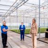 La reine Maxima des Pays-Bas en visite sur une exploitation horticole à Honselersdijk le 27 mars 2020, en pleine crise du coronavirus.