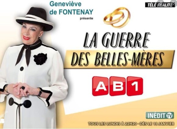 "La Guerre des belles-mères" diffusée sur AB1 en 2014