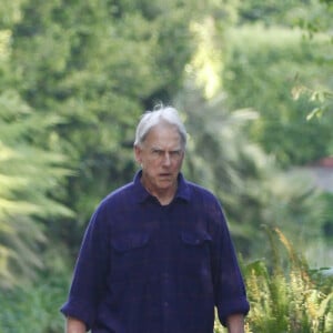 Exclusif - Mark Harmon ("NCIS") promène son chien pendant le confinement à Los Angeles, le 27 avril 2020.