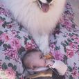 Alizée fête les 4 ans de son chien Jon Snow avec une photo de lui et Maggy (6 mois) le 31 mai 2020.
