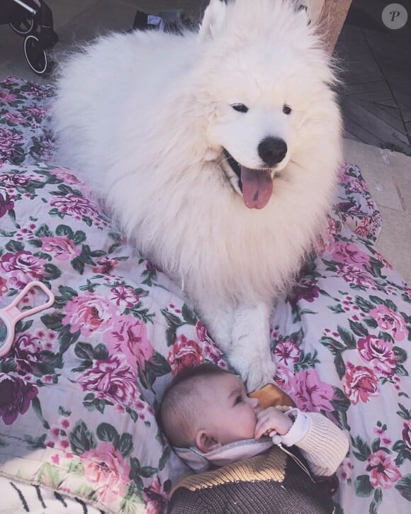 Alizée fête les 4 ans de son chien Jon Snow avec une photo de lui et Maggy (6 mois) le 31 mai 2020.