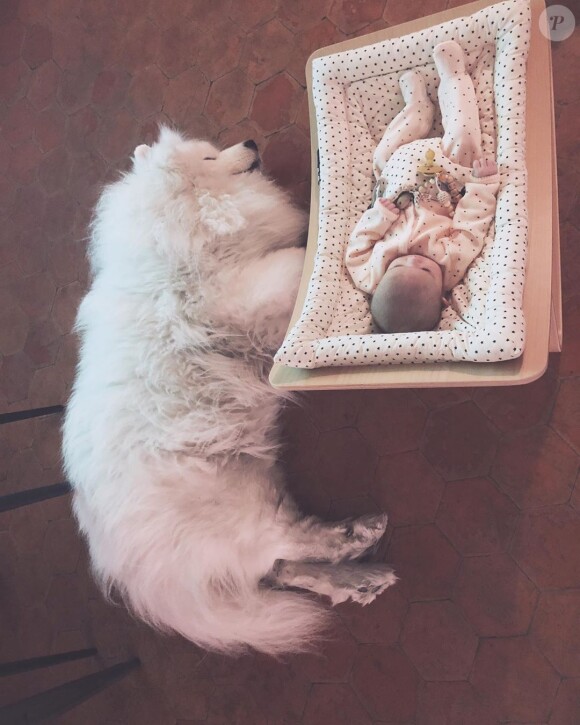 Alizée a publié une photo de sa fille Maggy avec son chien Jon Snow le 25 janvier 2020.