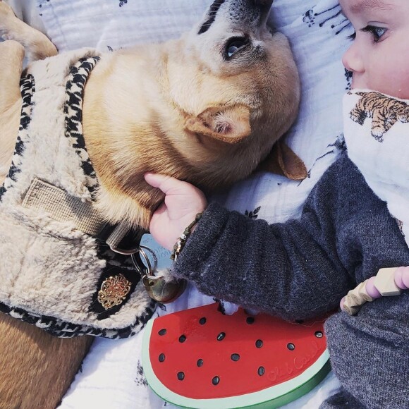 Alizée a publié une photo de sa fille Maggy avec son chien Galak le 19 avril 2020.