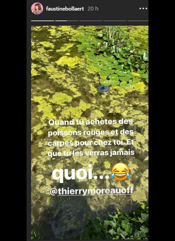 Faustine Bollaert n'a pas retrouvé ses poissons, story Instagram du 16 juin 2020