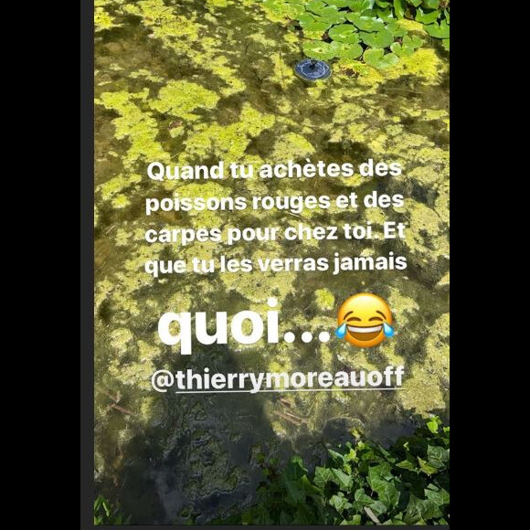 Faustine Bollaert n'a pas retrouvé ses poissons, story Instagram du 16 juin 2020