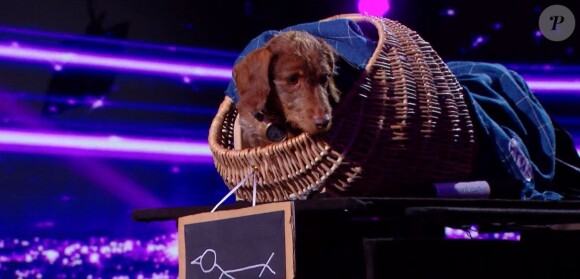 David Stone dans "Incroyable talent, la bataille du jury", émission du 30 juin 2020, sur M6