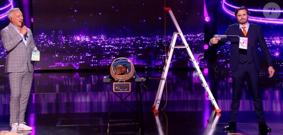 David Stone dans "Incroyable talent, la bataille du jury", émission du 30 juin 2020, sur M6