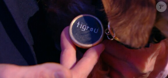 David Stone dans "Incroyable talent, la bataille du jury", émission du 30 juin 2020, sur M6