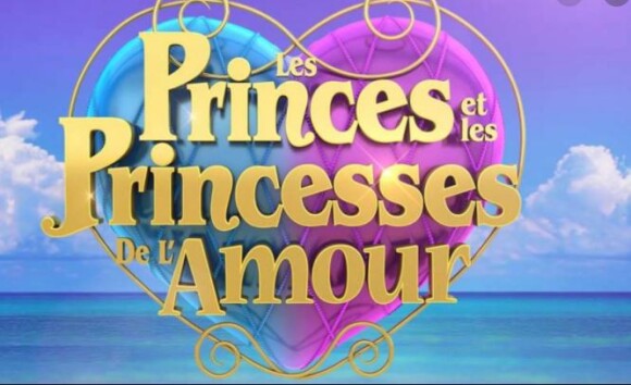 Logo des "Princes et des princesse de l'amour", W9