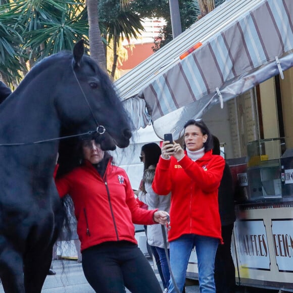 La princesse Stéphanie de Monaco fait une photo d'un cheval lors du photocall de présentation du 44ème Festival International du Cirque de Monte Carlo à Monaco le 14 janvier 2020. Le Festival se déroule du 16 au 26 janvier 2020. © Claudia Albuquerque / Bestimage