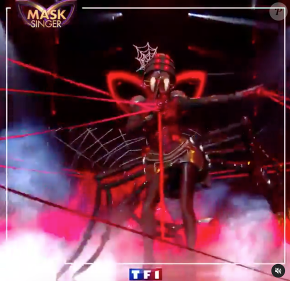 L'Araignée, émission "Mask Singer" du 17 octobre 2020.