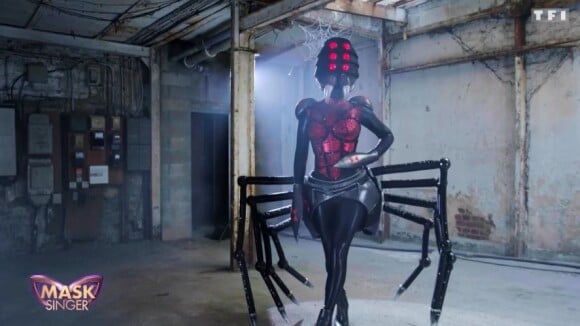 Mask Singer –  L'Araignée démasquée : découvrez qui se cache derrière le costume