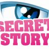 Logo "Secret Story"