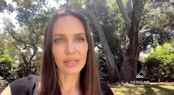 Angelina Jolie - Les célébrités rendent hommage à Chadwick Boseman dans l'émission de la ABC Tribute To A King special à Los Angeles, le 30 août 2020.