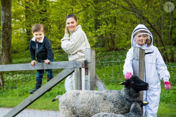 La princesse Victoria de Suède, le prince Oscar et la princesse Estelle visitent un enclos de moutons et les caressent au château de Haga à Solna le 18 mai 2020.