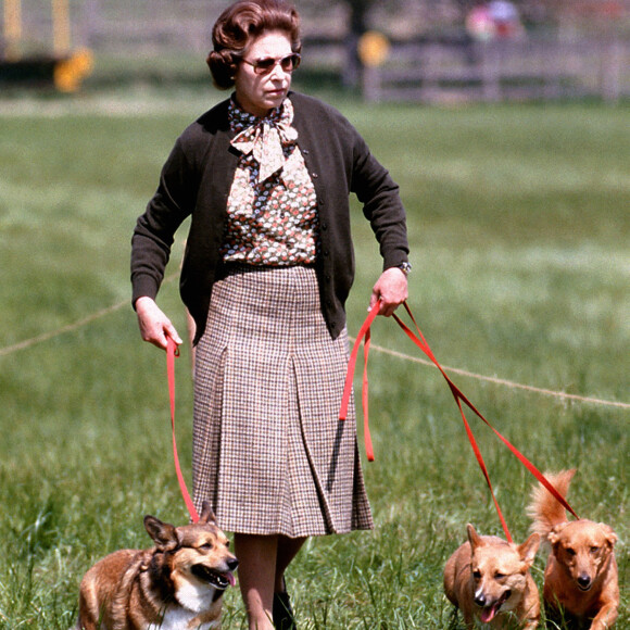 La reine Elizabeth II promenant ses chiens en mai 1980 à Windsor.