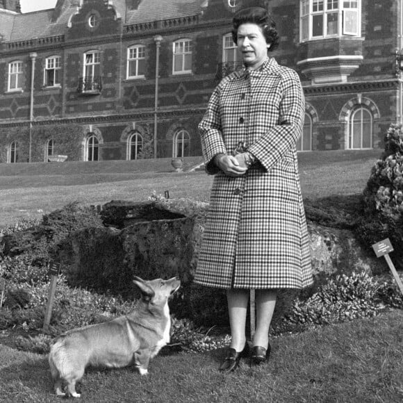 La reine Elizabeth II avec l'un de ses corgis à Sandringham House dans le Norfolk en 1982, portrait à l'occasion du 30e anniversaire de son accession au trône.