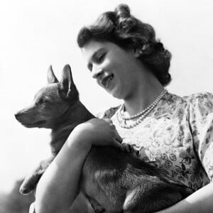 La reine Elizabeth II tenant dans ses bras un corgi, en 1960.