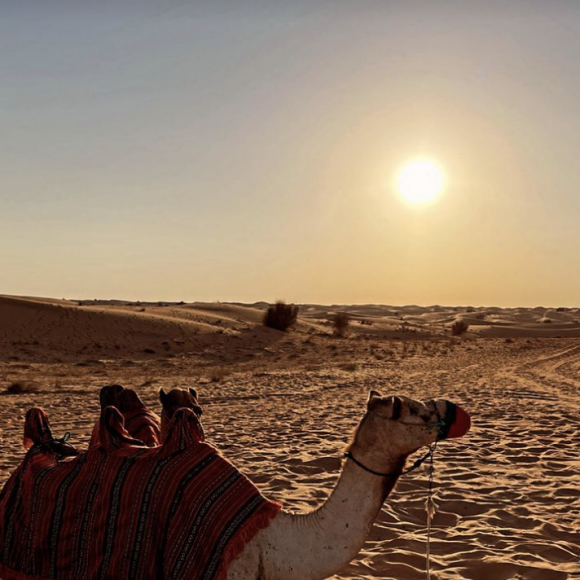 Caroline Receveur et ses proches profitent d'un doux moment dans le désert près de Dubaï avant les fêtes de fin d'année.