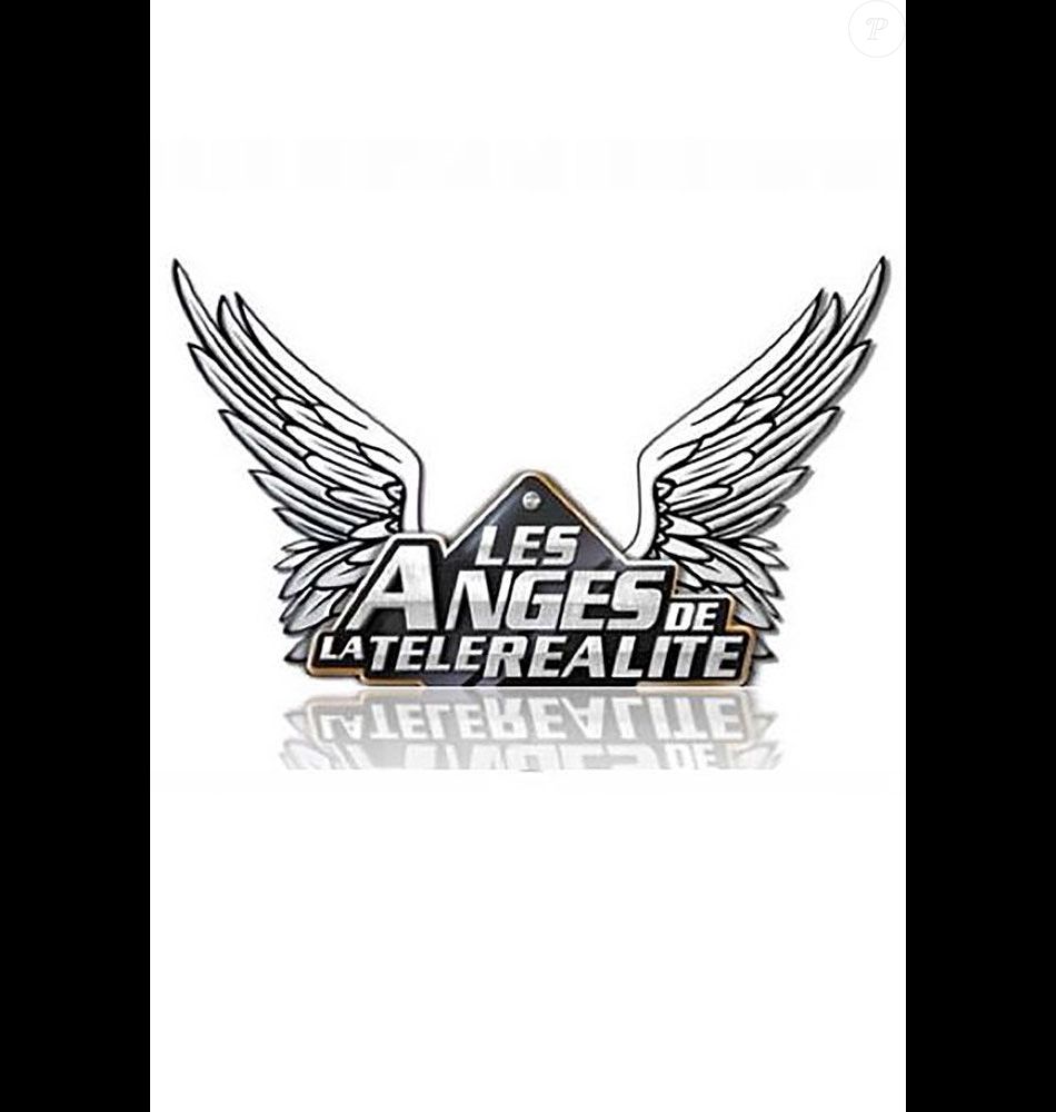 Logo de l'émission "Les Anges".
