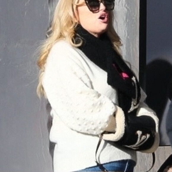 Rebel Wilson et son compagnon Jacob Busch sont allés voir un match de polo depuis une tribune VIP avec des amis à Aspen, le 19 décembre 2020.