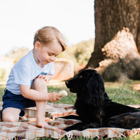 Le prince Georges et le chien Lupo le 22 juillet 2016.