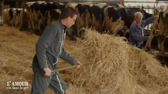 Hervé le Picard, candidat de "L'amour est dans le pré 2021", portrait diffusé le 1er février sur M6