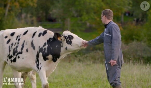 Hervé le Picard, candidat de "L'amour est dans le pré 2021", portrait diffusé le 1er février sur M6