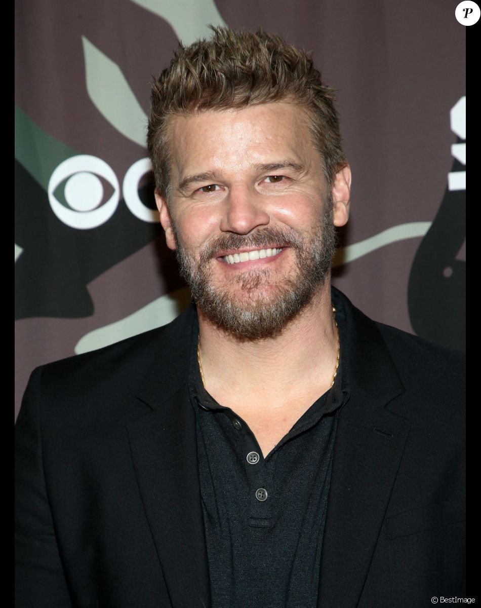David Boreanaz à la soirée de présentation de la série "SEAL Team" au cinéma Arclight à Hollywood, Los Angeles