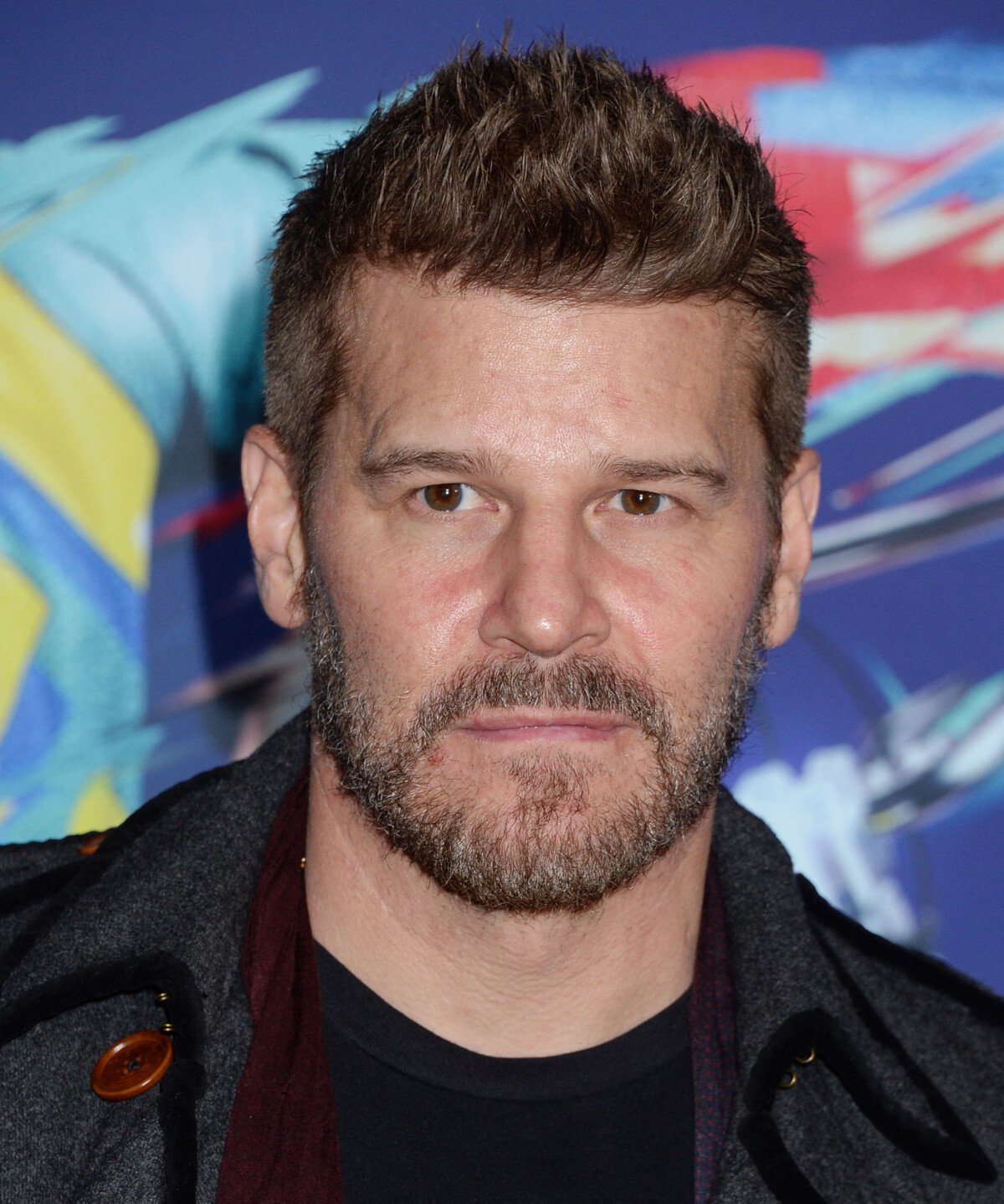 Photo : David Boreanaz lors de la soirée 