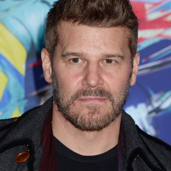 David Boreanaz lors de la soirée "Cirque du Soleil Volta" à Los Angeles, le 21 janvier 2020. 