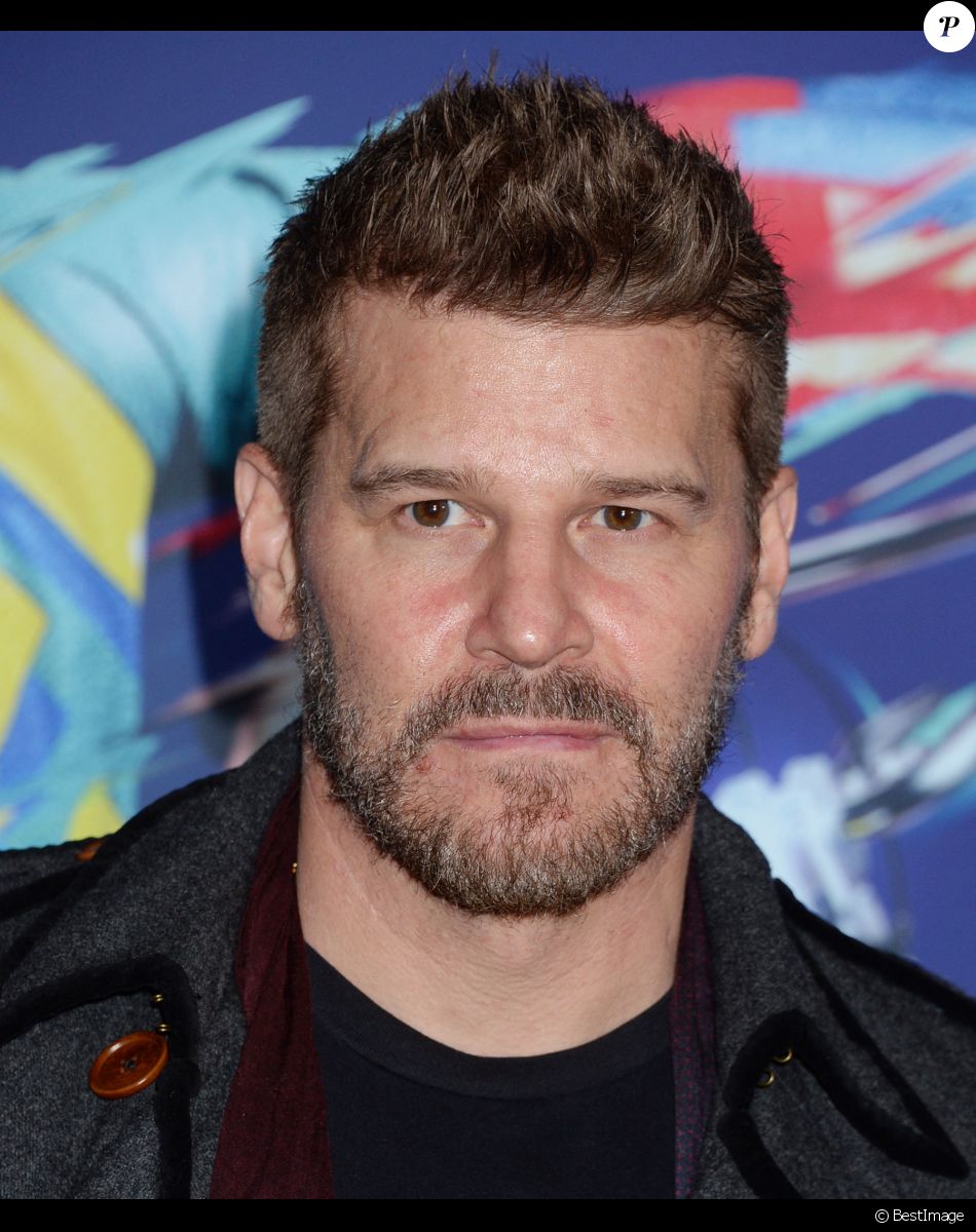 David Boreanaz lors de la soirée "Cirque du Soleil Volta" à Los Angeles, le 21 janvier 2020.