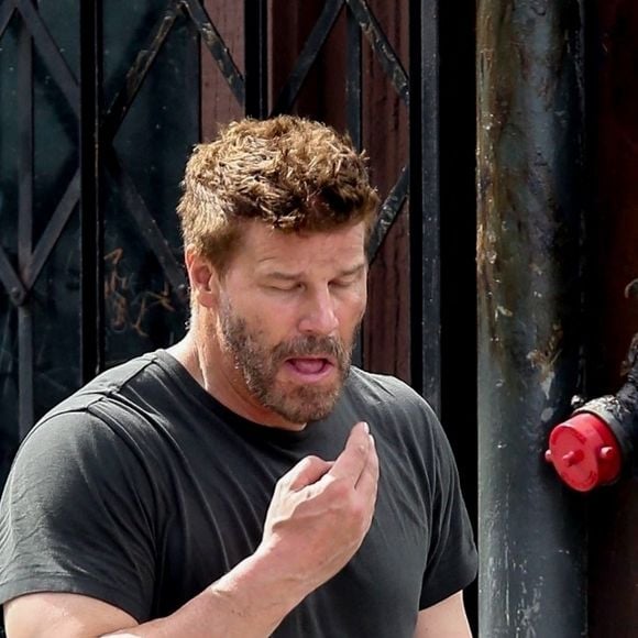 Exclusif - David Boreanaz à Los Angeles, le 3 avril 2019. 