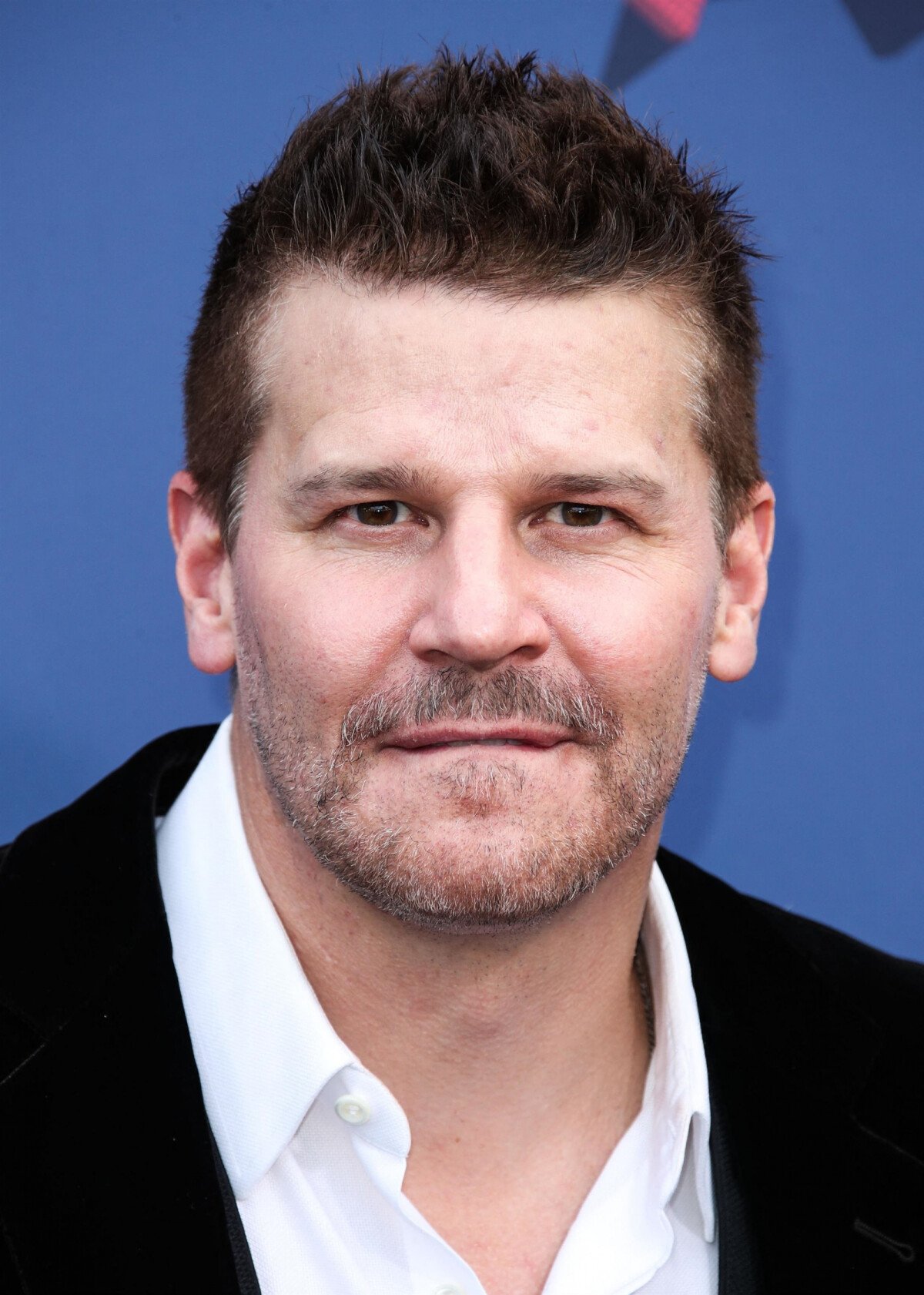 Photo : David Boreanaz - 53ème cérémonie des 