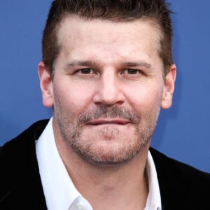 David Boreanaz - 53ème cérémonie des "Academy of Country Music Awards" à la MGM Grand Garden Arena à Las Vegas, le 15 avril 2018. 