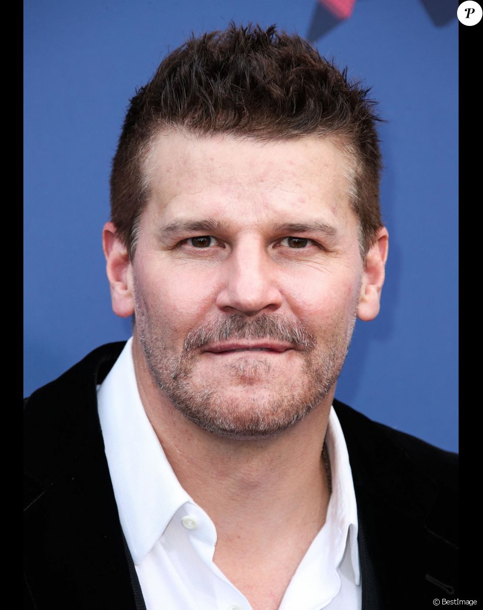 David Boreanaz - 53ème cérémonie des "Academy of Country Music Awards" à la MGM Grand Garden Arena à Las Vegas, le 15 avril 2018.