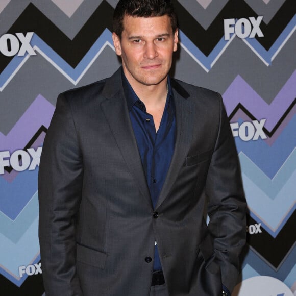 David Boreanaz - Soirée "Fox All-Star Party" lors du "2013 TCA Winter Press Tour" à l'hôtel Huntington à Pasadena, le 8 janvier 2013. 