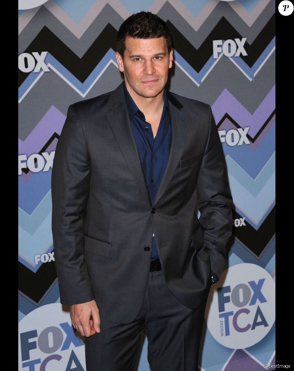 David Boreanaz - Soirée "Fox All-Star Party" lors du "2013 TCA Winter Press Tour" à l'hôtel Huntington à Pasadena, le 8 janvier 2013.