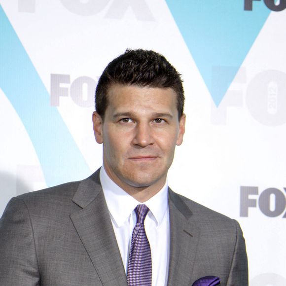 David Boreanaz à la soirée Fox Upfront 2012 à New York