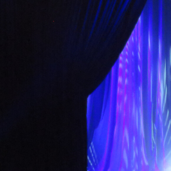 Céline Dion au Caesars Palace à Las Vegas le 23 février 2016.